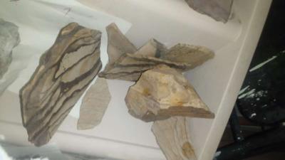 picture jasper beautiful elegant highly recommend - Thumbnail 2