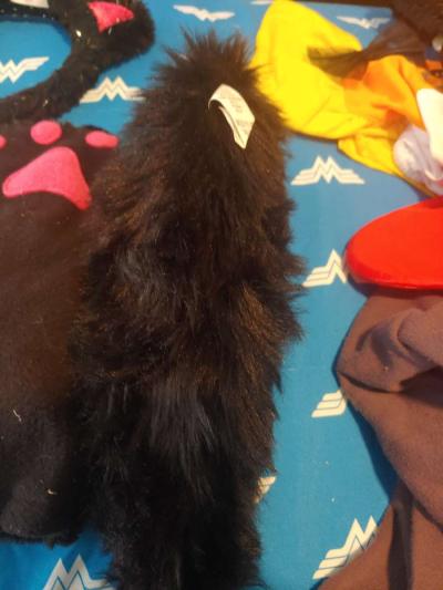 Cat custome - Thumbnail 2