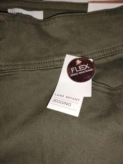 new lane Bryant jeans - Thumbnail 2