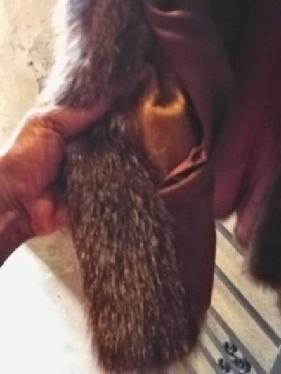 Vintage Russian Sable Fur - Thumbnail 6