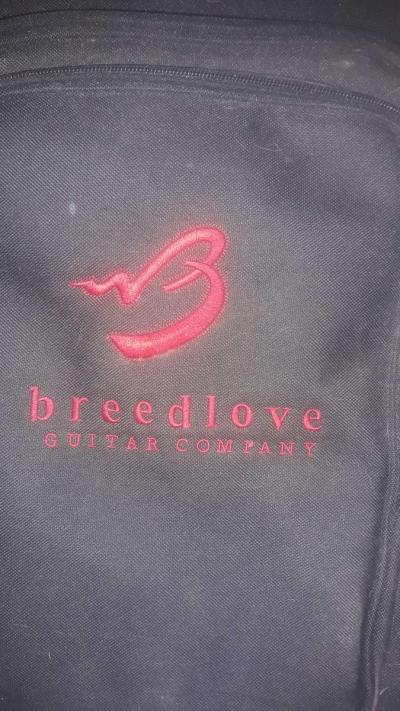 breedlove A25 Acoustic Guitar - Thumbnail 5