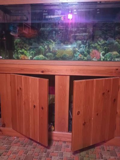 75 gallon fish tank with stand and fish - Thumbnail 4