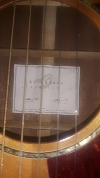breedlove A25 Acoustic Guitar - Thumbnail 2