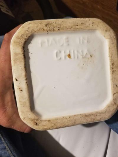 4 canisters w locking lids - Thumbnail 3