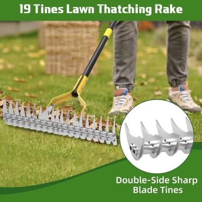 Thatch Rake 15Inch Wide Lawn Thatching Rake - Thumbnail 3