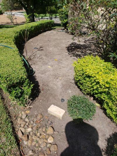 todo tipo de trabajos de yardas perios de piedras ect - Thumbnail 2