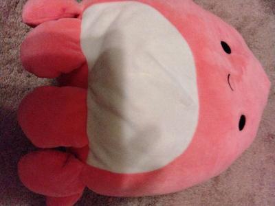 Squishmallows - Thumbnail 4