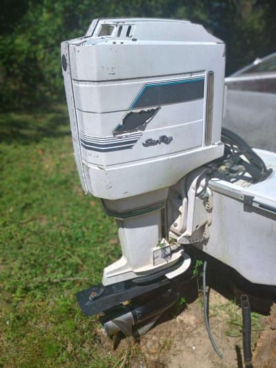 searay with mercury 100hp outboard motor - Thumbnail 2