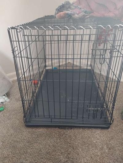 dog cage
