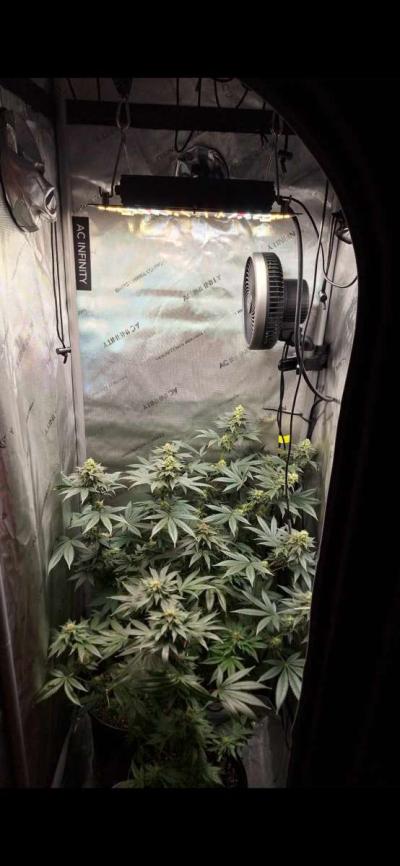 grow text and Supplies and More - Thumbnail 2