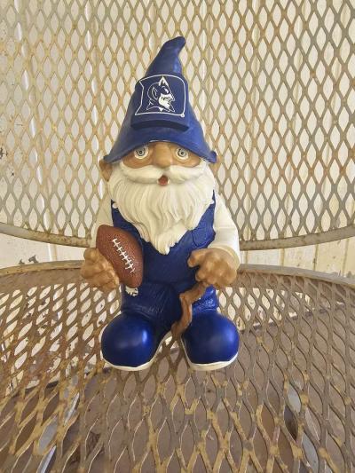 NCAA DUKE FOOTBALL GNOME