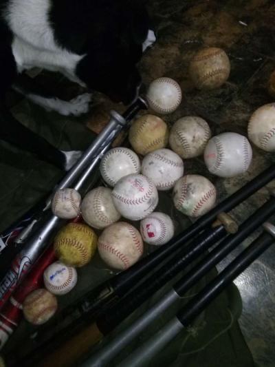 little league gear - Thumbnail 3