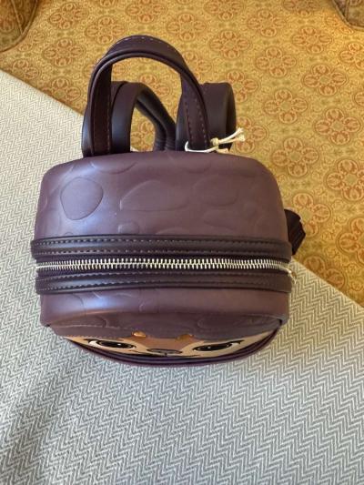 2011AHIC NWT Loungefly Disney Raya and the Last Dragon Tuk T - Thumbnail 5