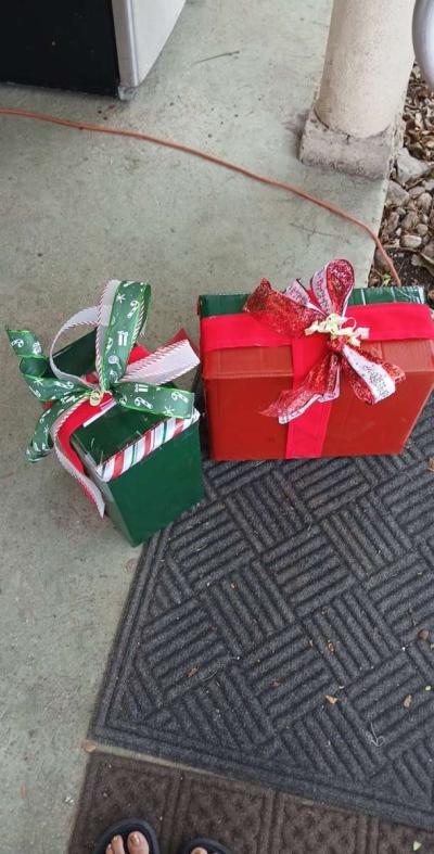 xmas lights installing - Thumbnail 2