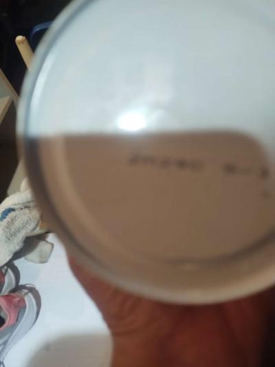 GiGi Facial Honee Wax - Thumbnail 5