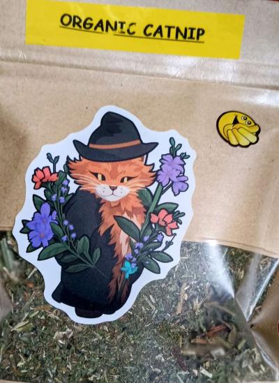 Christmas SALE Organic Catnip - Thumbnail 3