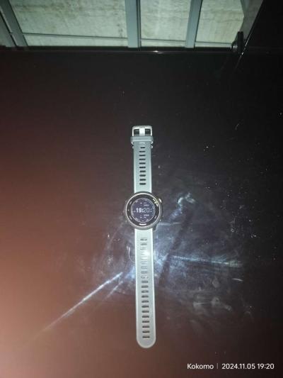 Garmin Forerunner 55 - Thumbnail 3