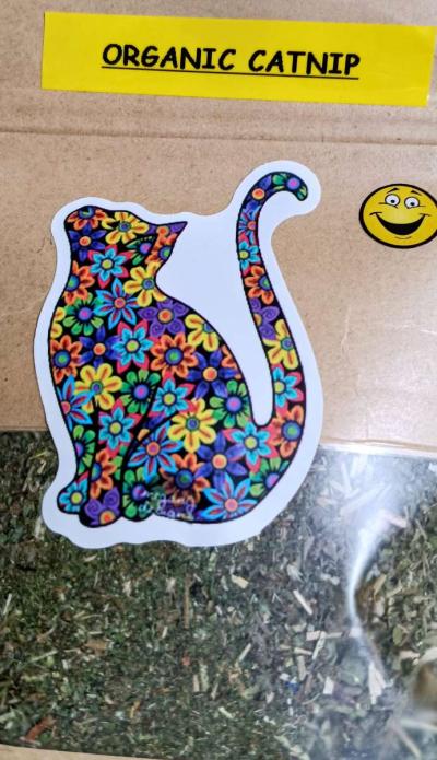 Christmas SALE Organic Catnip