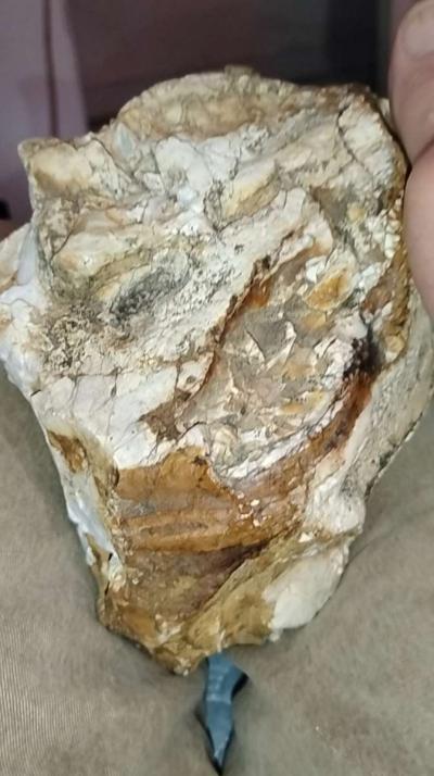 Native American portable rock art - Thumbnail 2