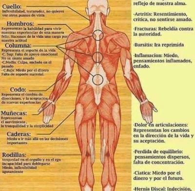 sobador masajista Edgar a domicilio - Thumbnail 4