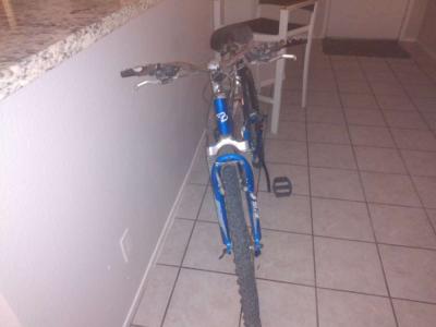 trek y24 - Thumbnail 2