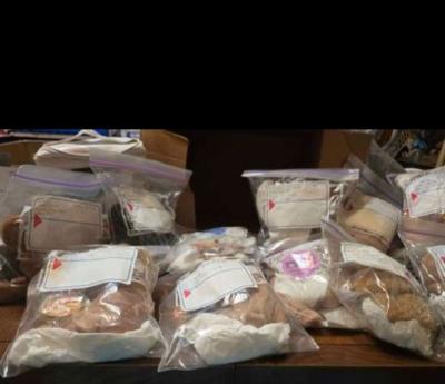 beanie babies - Dallas, Texas