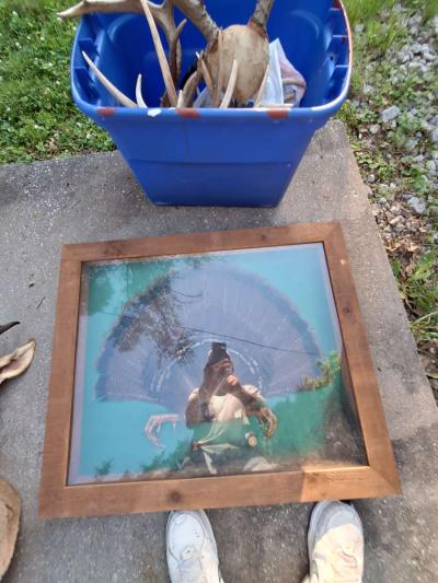 Deer mounts and others - Thumbnail 4