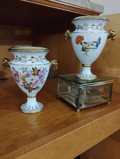 Dreamy Rare Chelsea House Botanical Mantle Tulip Bulb Orchid - Hurst, Texas