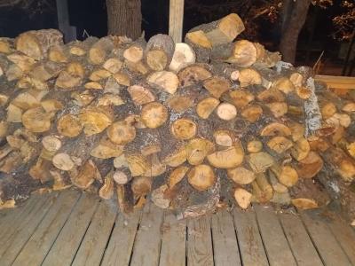 firewood - Thumbnail 3