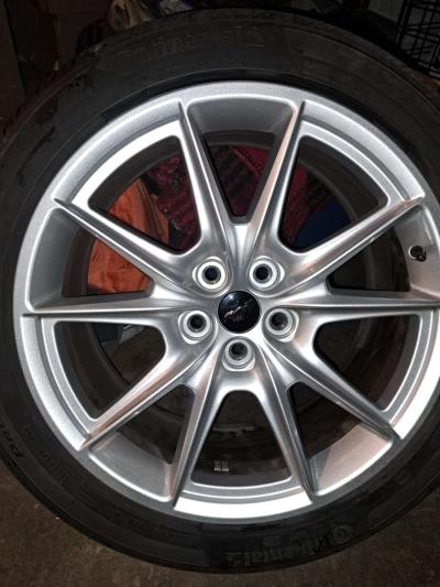 2024 Mustang Fastback Tires and Rims