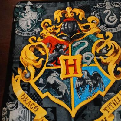 Harry Potter Blanket - Thumbnail 6