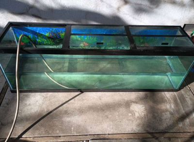125 Gallon Fish Aquarium