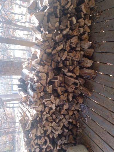 firewood - Thumbnail 2