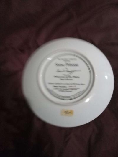 native American decorative plates Hamilton collection - Thumbnail 2