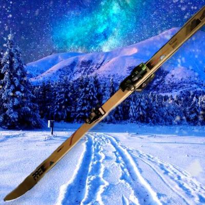 PRE Precision USA Snow Skis  Marker Ceramic Brand Salomon Sn - Thumbnail 3