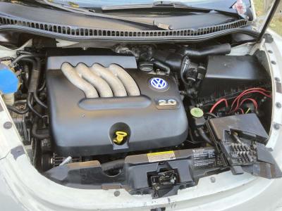 2004 Turbo VW Beetle - Thumbnail 2