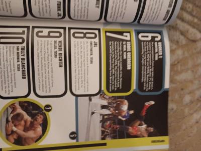 the wwe book of top 10s title matches epic rivalries more - Thumbnail 2