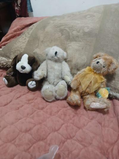 beanie babies - Thumbnail 6