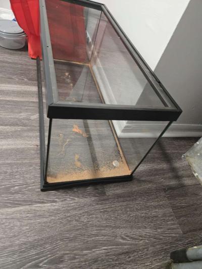 Terrarium - Thumbnail 2