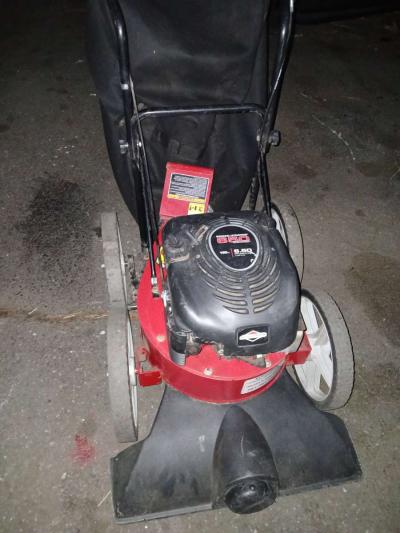 Briggs n Stratton leaf sucker - Thumbnail 5