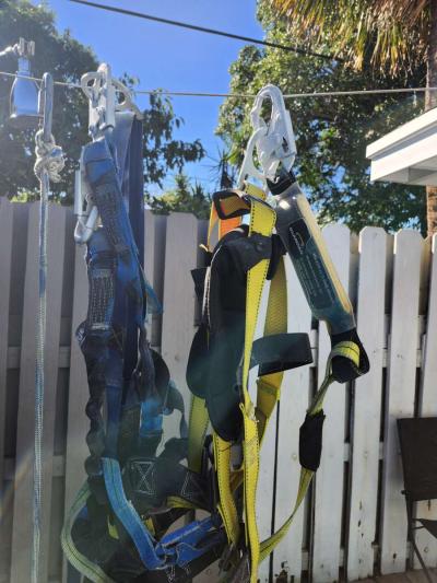 2  harness - Thumbnail 4