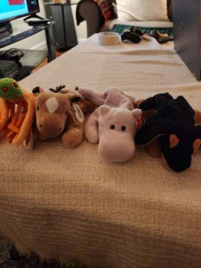 Beanie babies from 90s