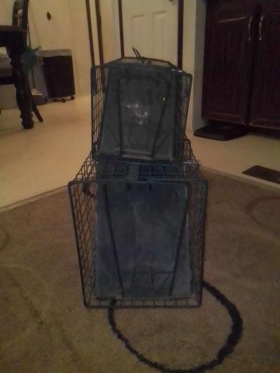 animal traps - Thumbnail 3