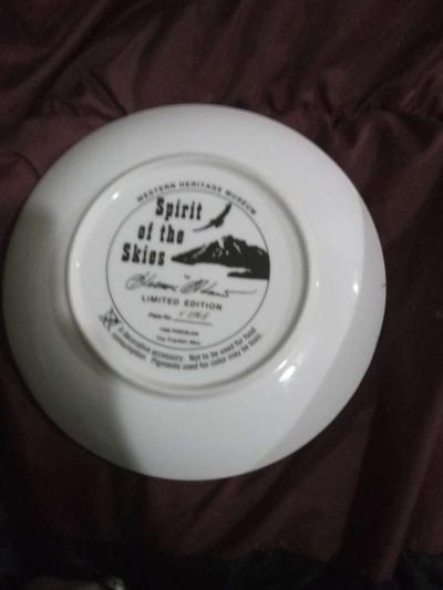 native American decorative plates Hamilton collection - Thumbnail 4