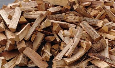 Firewood Half Cord Delivered and Stacked - Thumbnail 2