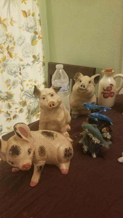 nite lites - Thumbnail 2