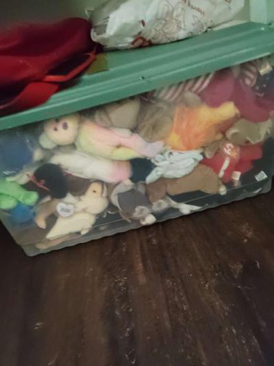 TY beanie baby - Beaumont, Texas