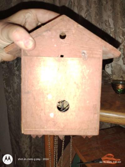 cuckoo cloak - Thumbnail 6