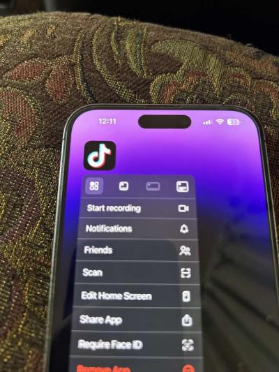 iPhone 14 Pro Max with TikTok