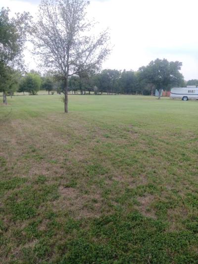 lawn care - Thumbnail 2